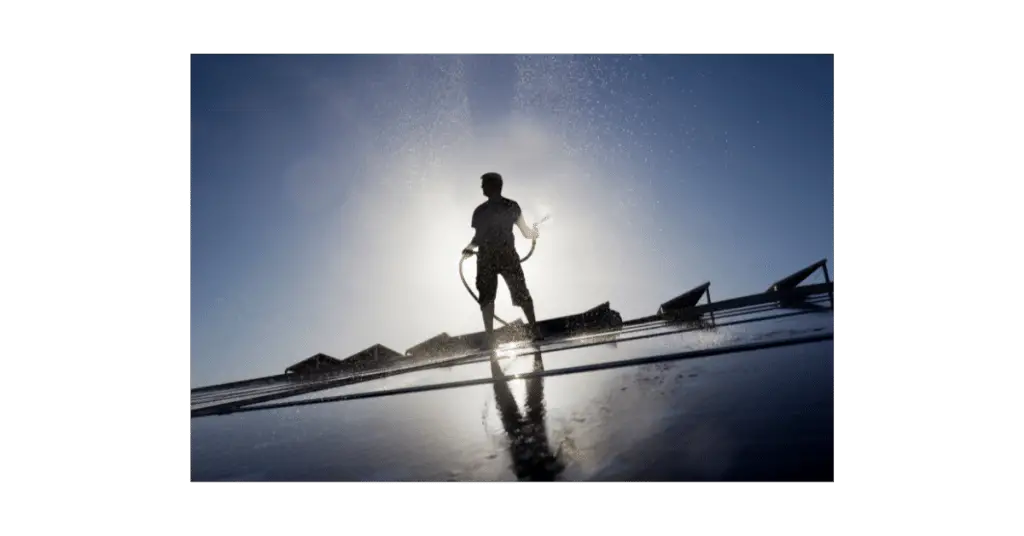 Solar Panels Cleaning 3