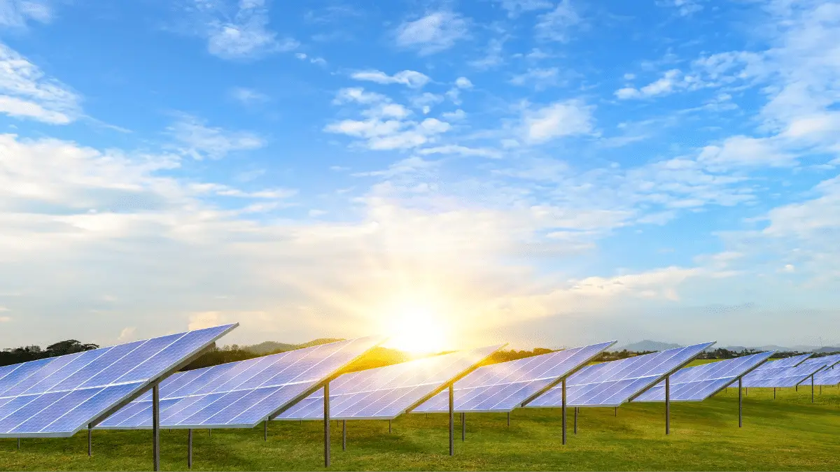 Solar panels in field