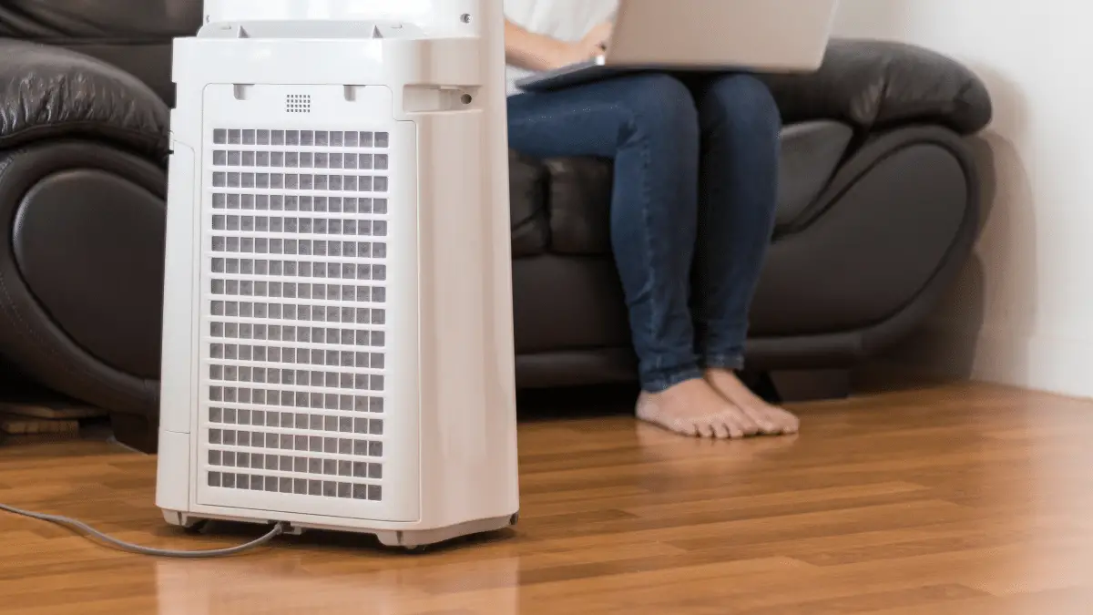 Air purifier runs in the living room