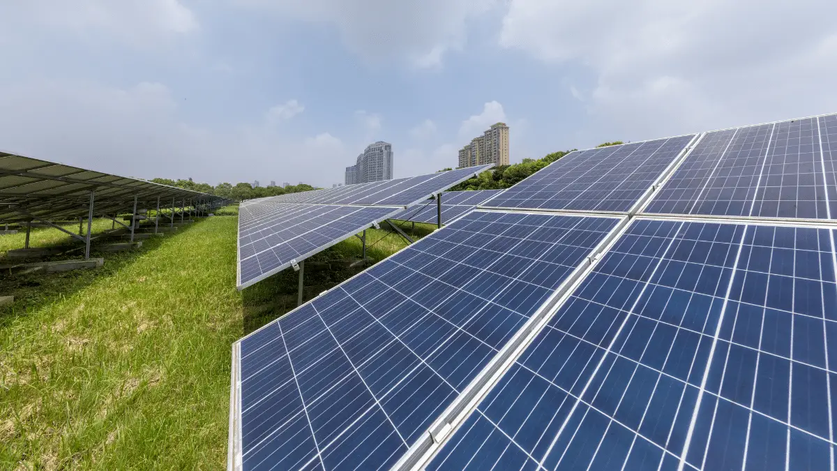 solar panels covering field