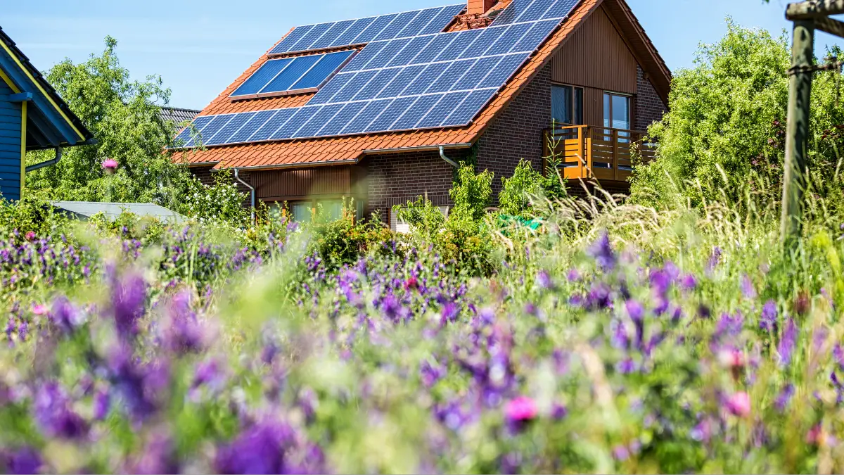 entire home covered with solar panels