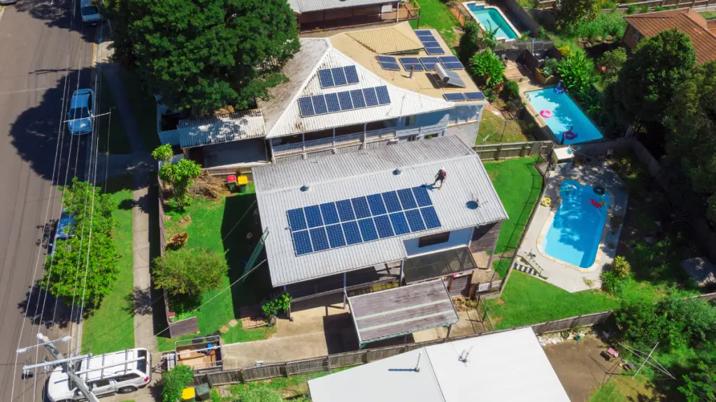 shade tree and photovoltaic cells