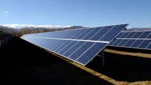 solar array in a field
